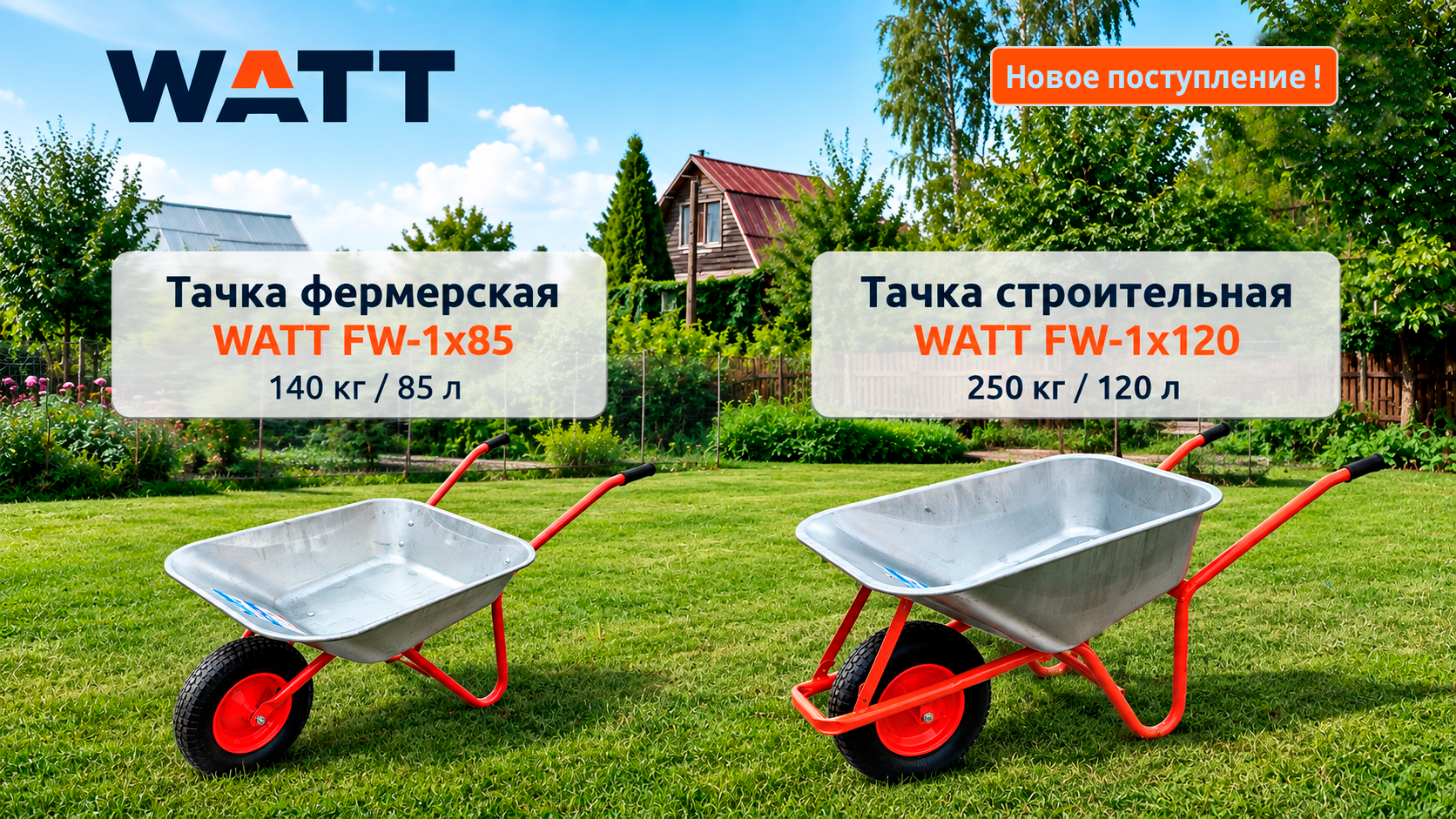 Новинки